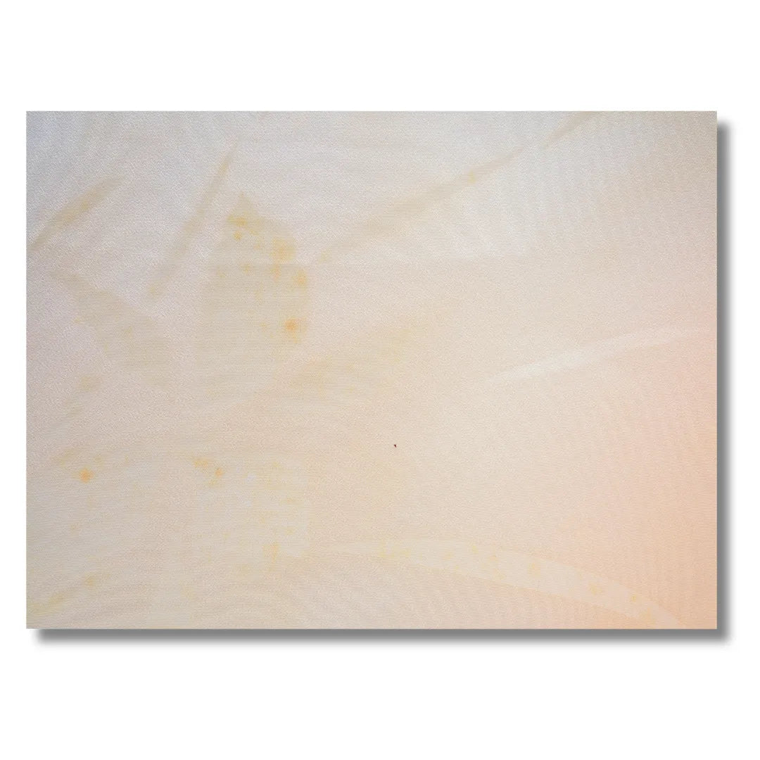 Detailbild Rückseite mit kleinen Flecken