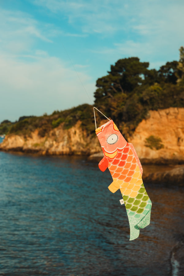 Koinobori Windsack Regenbogen am Fluss #farbe_Regenbogen