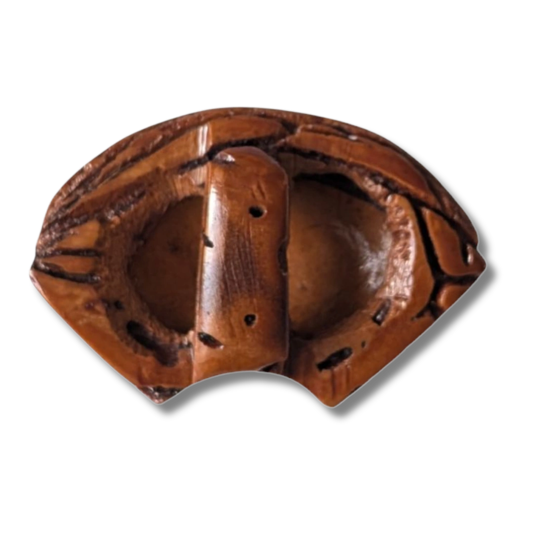 Obidome aus Walnussholz – Fächerform