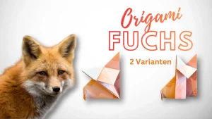 Titelbild Origami Fuchs mit echtem Rotfuchs und zwei gefalteten Origami Füchsen in zwei Varianten.